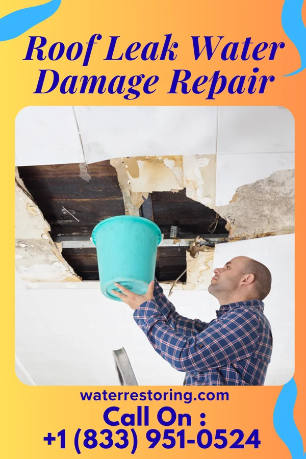Roof Leak Water Damage Repair in Sunnyside, WA